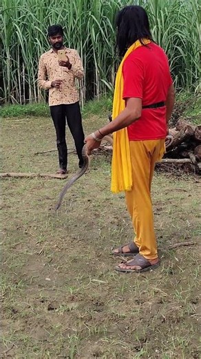 इतना फुर्तीला सांप 👉🐀🐍 how to protect house from snakes