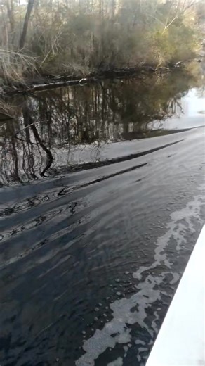 Rolling on the river 😁😁😁😁. Congratulations to my sister Crystal Summerlin Deans Coker on her marriage to Gabriel Coker. May y'all have many years of happiness together....oh, and.this riverboat ride is freaking awesomesauce!!! | Robyn Proctor