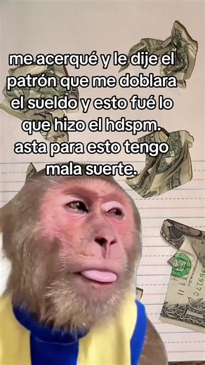 29-12-2000 (@2000.c73)’s videos with sonido original - @franko música