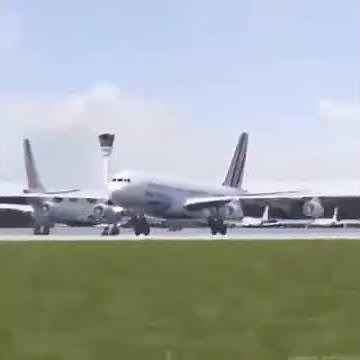 Birb (flapping wings plane meme)