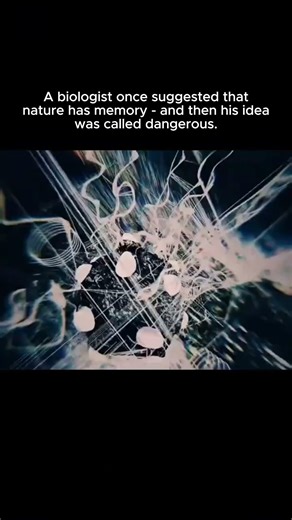 Read the description