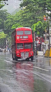 "නුවර ලස්සන වැස්සට නේ" ✨🌧️🥰 One and only, in service AEC Routemaster in Sri Lanka 🇱🇰❤️🚌 ශ්‍රී ලංකා ගමනාගමන මණ්ඩලයේ (ශ්‍රී ලං.ග.ම.) මහනුවර දකුණ ඩිපෝවට අයත්, AEC රූට්මාස්ටර් වර්ගයේ දෙමහල් බස් රථයක් මහනුවර දී. සම්පූර්ණයේම එංගලන්තයේ නිෂ්පාදිත මෙම බස් රථ මුල් කාලීනව ලන්ඩන් ට්‍රාන්ස්පෝර්ට් යටතේ (ex London Transport) සේවය සපයා පසුව ආධාර වශයෙන් 1989 වසරේ ශ්‍රීලංගම හා එක්වී ඇත. ඒ යටතේ මෙම වර්ගයේ බස් රථ 50 ක් ලංගමට ලැබී ඇත. මෙම බස් රථයක මගීන් 64 දෙනෙකුට ගමන් පහසුව සලසාගත හැක. #kandy #srilanka #bus #A