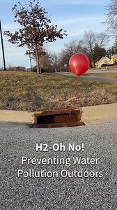 Our community stormwater systems help prevent flooding, so let's help our storm drains and local water quality! - Dispose of trash properly - Keep your car tuned up so it doesn't drip fluids into roadways - Remove grass clippings from the road and pick up after pets - Let rainwater soak into the ground - Plant a rain garden with native plants - Install a rain barrel Learn more at https://go.illinois.edu/RainWaterManagement Learn more about your everyday environment at https://go.illinois.edu/EE.