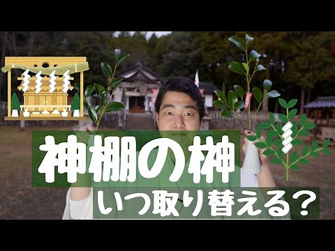 神棚の榊 いつ替える？？