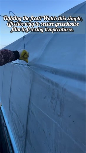 Winter Greenhouse Cover Fast Fix