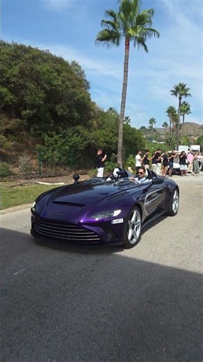 Aston Martin V12 Speedster en Marbella