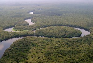 Salonga National Park - Alchetron, The Free Social Encyclopedia