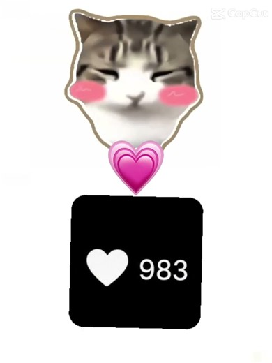 담담 두비두비 고양이2