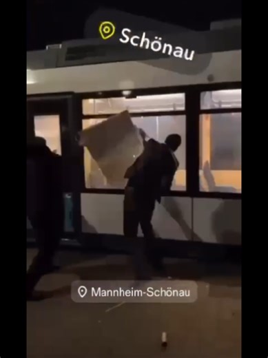 Warum liest und hört man in den Staatsmedien davon nicht? Weil nicht sein kann, was nicht sein darf? #grenzenschliessen #afdthomasstephan #AfD #randale#silvesterkrawalle