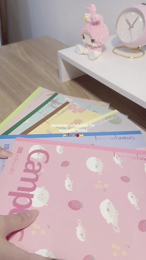 Japanese Notebooks for Aesthetic Notes Unboxing