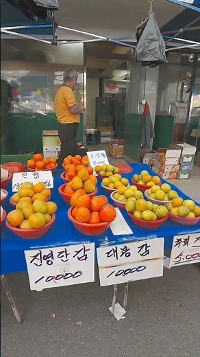 A Complete Beginner's Guide to the Moran 5-Day Market (Recommended Routes)