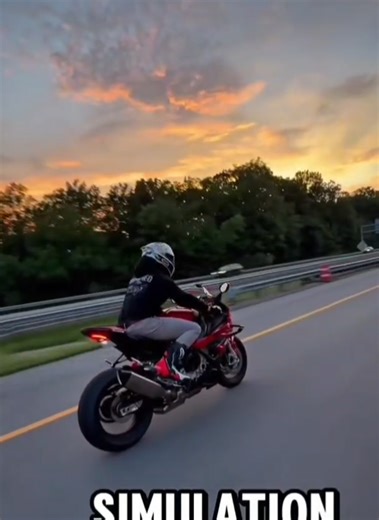 Cheat Codes for Life's Simulation: Biker Edition