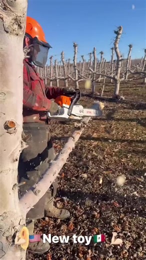 Wood Splitting (@wood.splitting7)’s videos with original sound - Wood Splitting