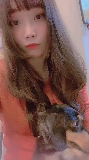 Japanese Language Lessons with a Cute Dog