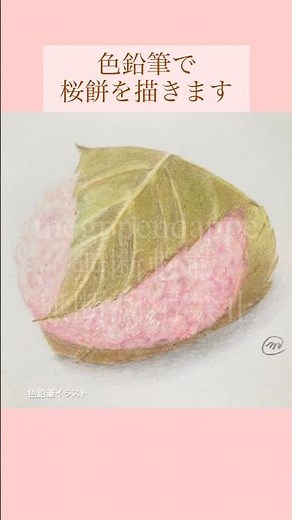 【色鉛筆イラスト】桜餅【食べ物イラスト】 #イラストメイキング #イラスト #食べ物イラスト #桜餅 #春
