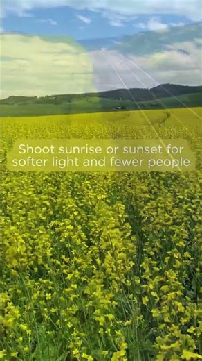 You’ll want these tips when the fields turn gold in the Palouse 💛