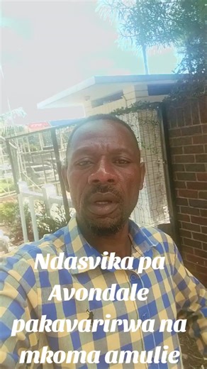 Celebrating Zim Dancehall at Avondale: A Night to Remember