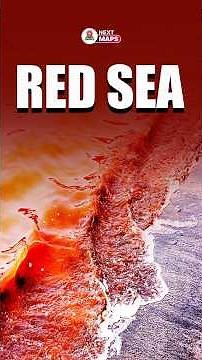 Red Sea Mystery: Why Does It Turn Red? | NEXT MAPS