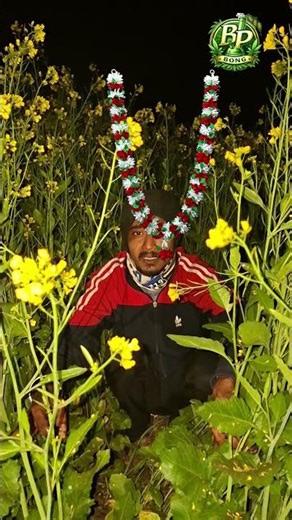 tapos pal vs bapi #funny #shortsfeed #comedyvideos #viral #trending