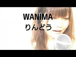 りんどう／WANIMA【フル 歌詞付き】cover