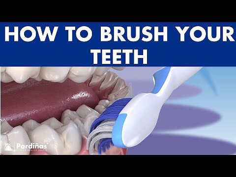 The best way to BRUSH YOUR TEETH - Modified Bass Technique ©