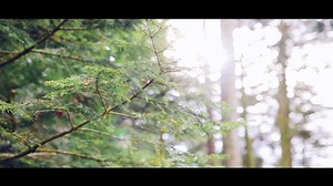 397 reactions · 21 shares | This December, your Birchbox has been...