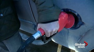 Low fuel prices have mixed benefits for Calgary businesses