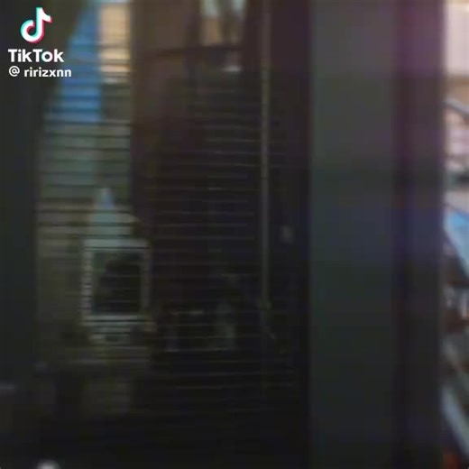 Donovan 🫡🫡 (@donovanspage)’s videos with original sound - Donovan 🫡🫡