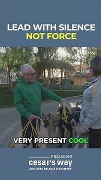 Lead with Silence Not Force