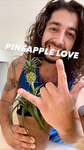 415K views · 11K reactions | Have you done this with a pineapple top yet?!  I used to think pineapples grew on trees 藍 . . ps: if you like my plant hacks tips and tricks, learn in more detail with my official books!  Grab a copy on my website: creativeExplained.com 朗蘭 . . #pineapple #hacks #tipsandtricks #lifehacks #gardening #plantbased #homeprojects #kids #learning #experiment #planttips | creative explained | Facebook