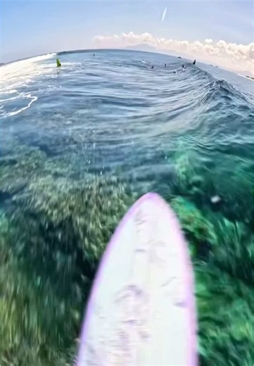 surfclipz on TikTok