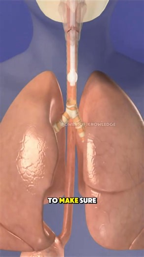 1.4K views | This is how infant intubation is performed | 3d animation #infantintubation #intubation #endotrachealintubation #neonatalcare #airwayhealth | powerofknowledge | Facebook