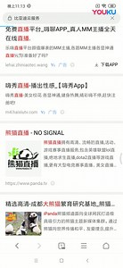 安卓《比亚迪云服务》下载_超清(2395405)