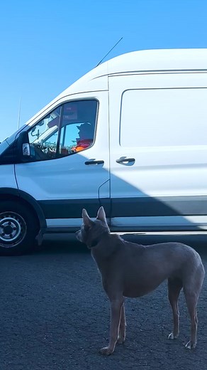 Come through an unpack a shipping container with us into our main warehouse! A great way to get the blood pumping as everyone runs out of the office/dispatch to form the conga line with boxes in hand 📦️ Stay tuned for our 2nd warehouse unload! Proudly independently owned and run by surfers for surfers. #TrustedSince79 | Ocean & Earth