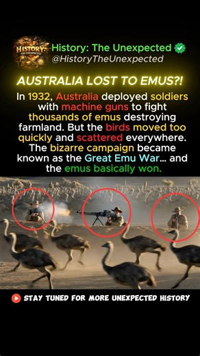 Australia LOST a War Against Emus?!