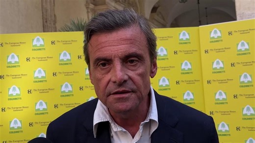 Lite Calenda-Cattaneo. Il senatore: "Enel fa più utili di Hermès". L'altro: "Lui parla, io lavoro"