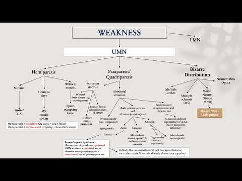Concept Maps: ‘Approach to A Patient with weakness’