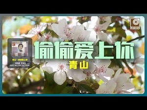 青山 Qing Shan - 偷偷愛上你 Tou Tou Ai Shang Ni (Official Lyric Video)