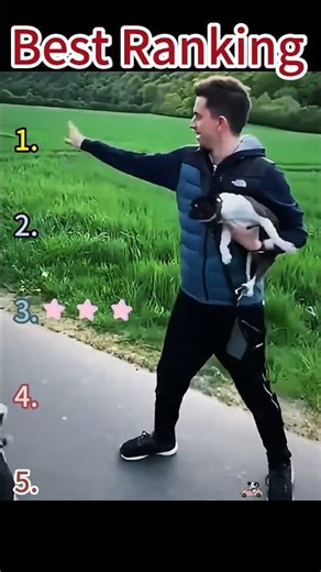 Why do puppies like sticks so much #dogshorts #funny #pets