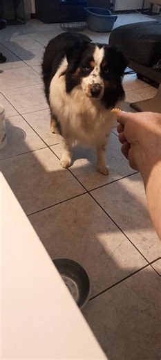 Lol 😂 | Christophe Michel