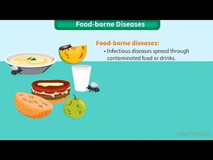 Food borne Diseases || HPE || Animated Video