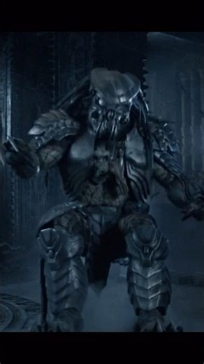 Celtic predator Vs Grid! They were tearing things down! #alienvspredator #predator #alien