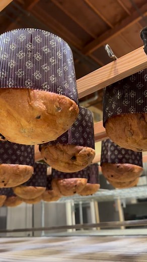 As Thanksgiving draws near, we’d like to take the time to thank all the students who have joined us this year and years past. We’re so graetful you’ve made SFBI part of your baking journey and we hope to see you all again soon ☺️ Pictured: classic panettone waiting to be flipped! | San Francisco Baking Institute