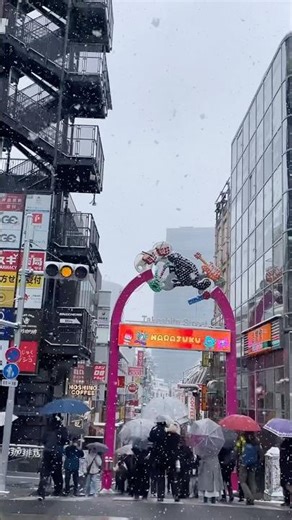 【Snow season Japan】 COOL JAPAN