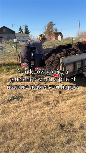 You know you’re a gardener when a pile of manure makes you smile 😅 Winter prep is in full swing, cleaning, mulching, and getting the garden ready for a fresh start next season! Adding compost & manure to top up my @_greenexperience garden beds for next year! . . #garden #gardening #growyourownfood #homesteading #gardencleanup #plants #cows #manure #fblifestyle #homestead #urbanhomestead | The Sprouting Homestead