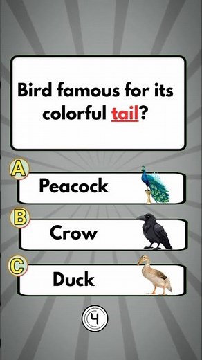 Bird Quiz Challenge 🐦 | Backward Flying Bird & Colorful Tail | Fun GK Quiz 🧠