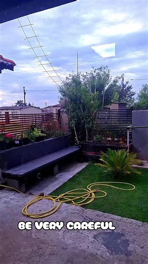 How to Respect Other People's Houses