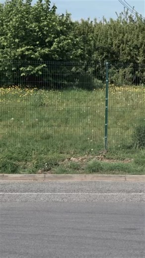 39K views · 461 reactions | Protect your trailer in just a few simple steps.  Watch our step-by-step video on how to fit our heavy-duty Coupling Lock – designed for effortless installation and ultimate protection to keep your trailer safe and secure. #iforwilliamstrailers #couplinglock #trailersecurity #iwt #genuineparts | Ifor Williams Trailers - Aftersales | Facebook