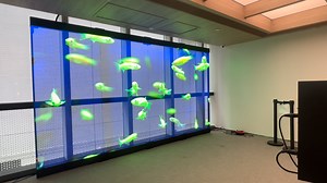 Blackmagic Transparent LED Display