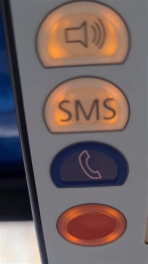 lisathebusdriver on TikTok